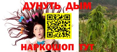 прущие грибы Краснодар