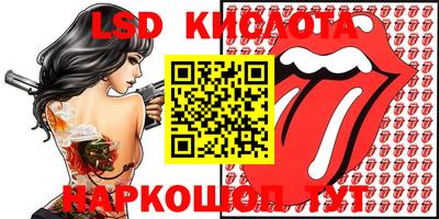 прущие грибы Краснодар
