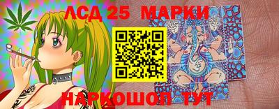 прущие грибы Краснодар